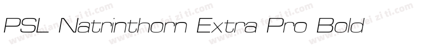 PSL Natrinthorn Extra Pro Bold Ital字体转换